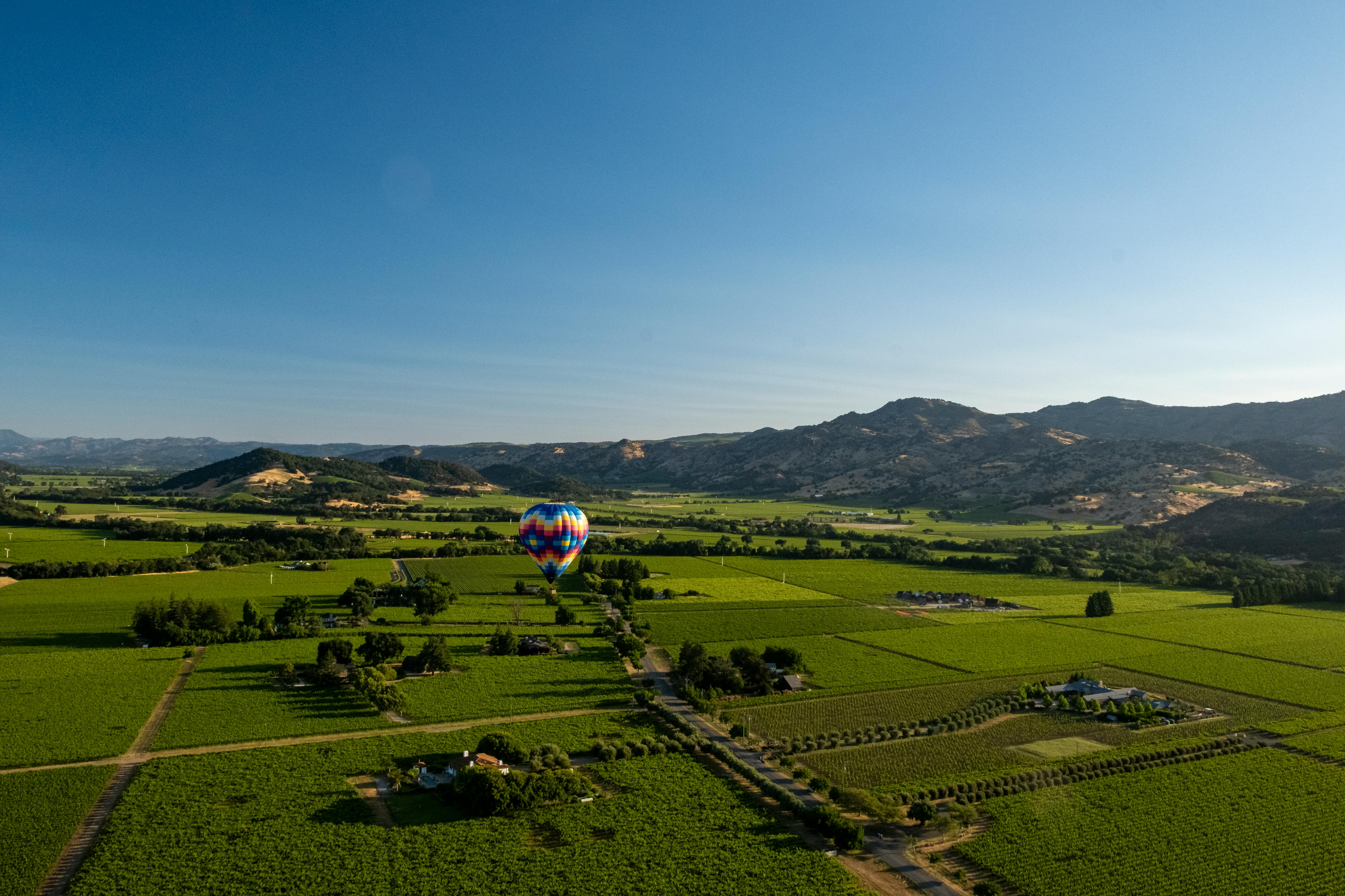 Napa Valley Vineyard
